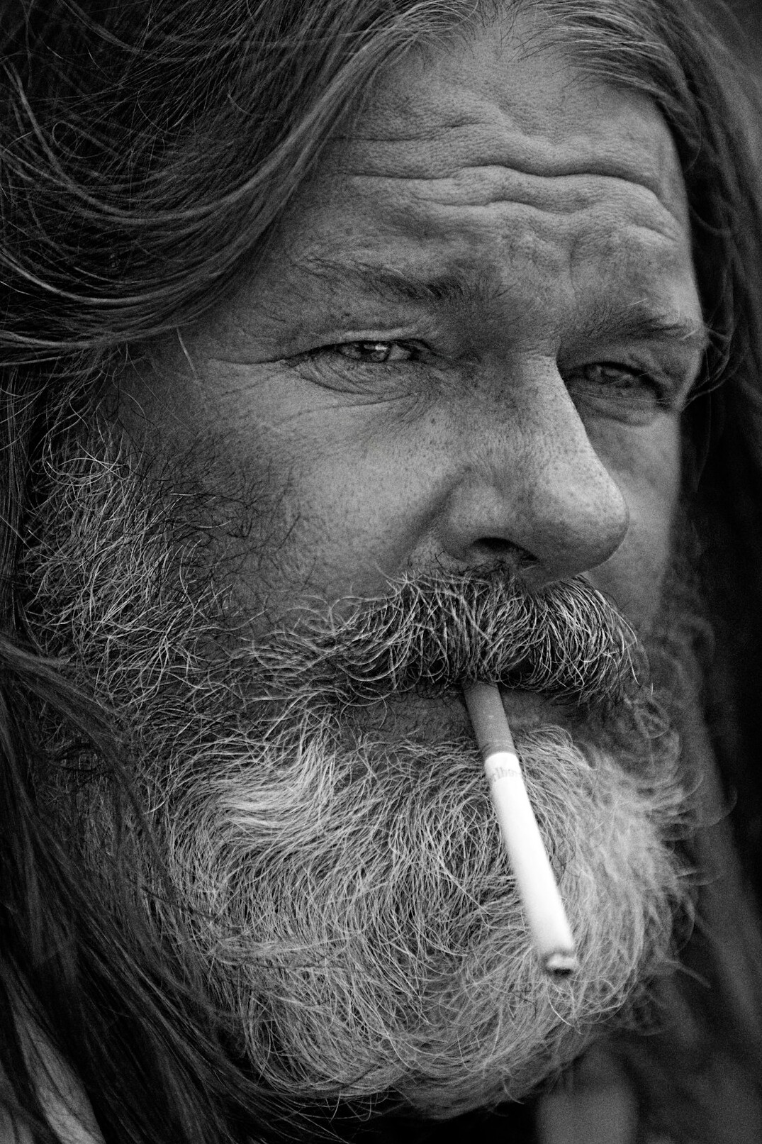 Portrait of a bearded man in his forties
