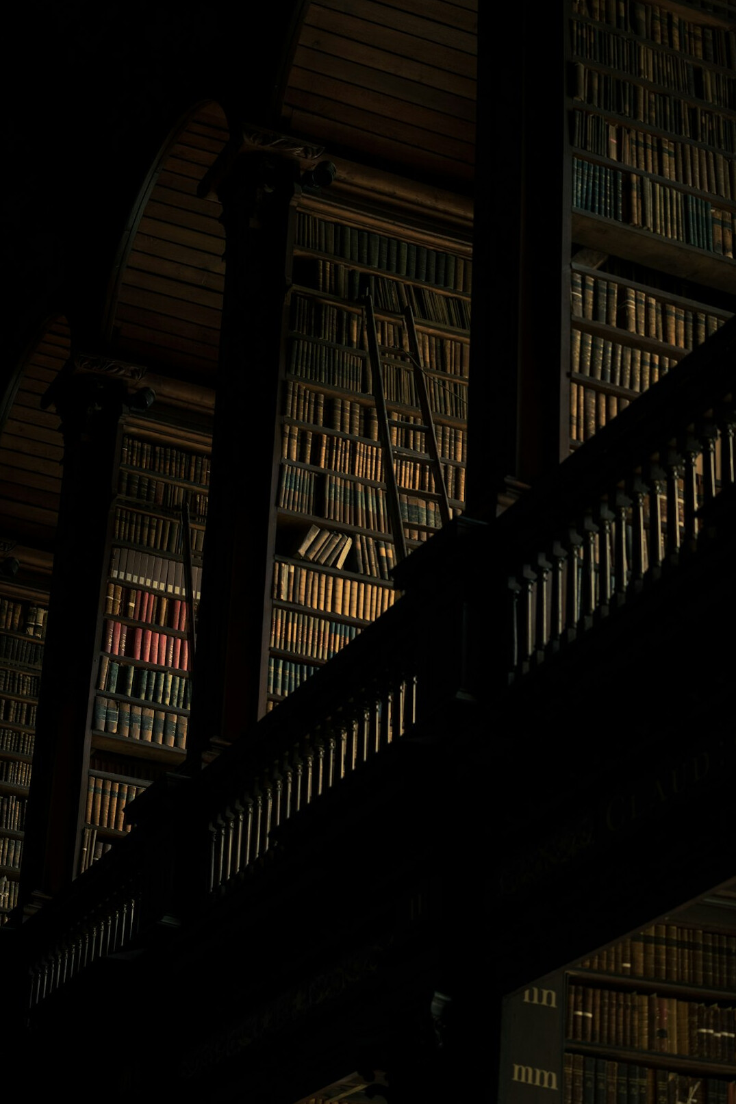 Atmospheric old library with tall wooden bookshelves and warm light